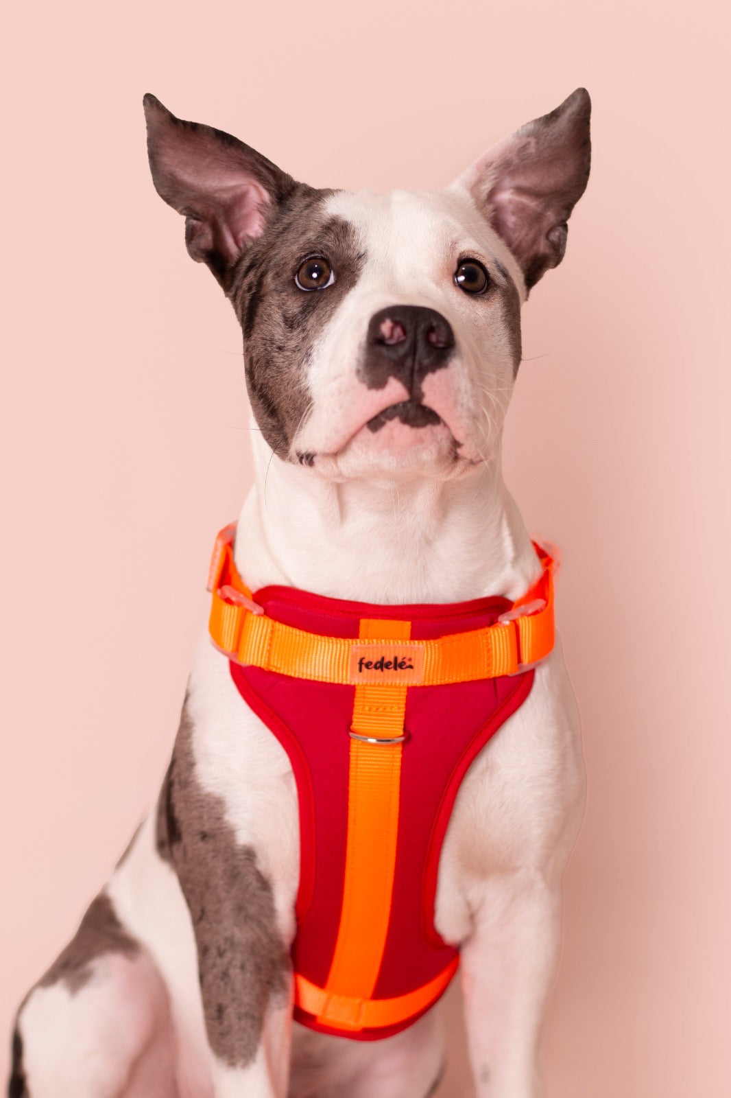 PECHERA ROJA - NARANJA