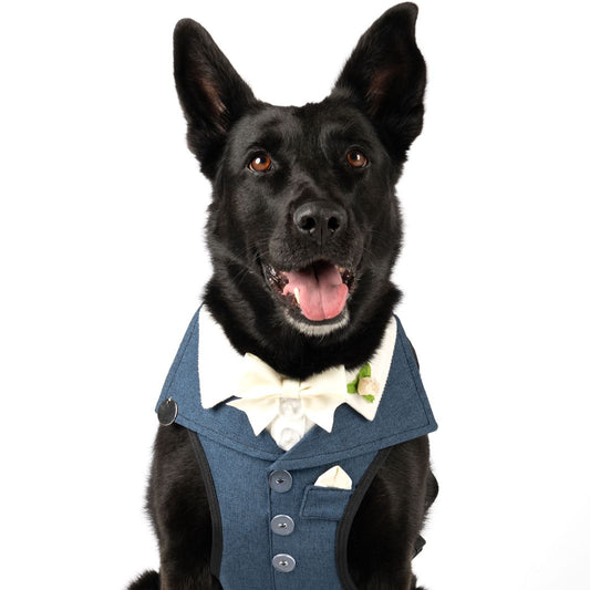 PECHERA ELEGANTE BODA INDIGO