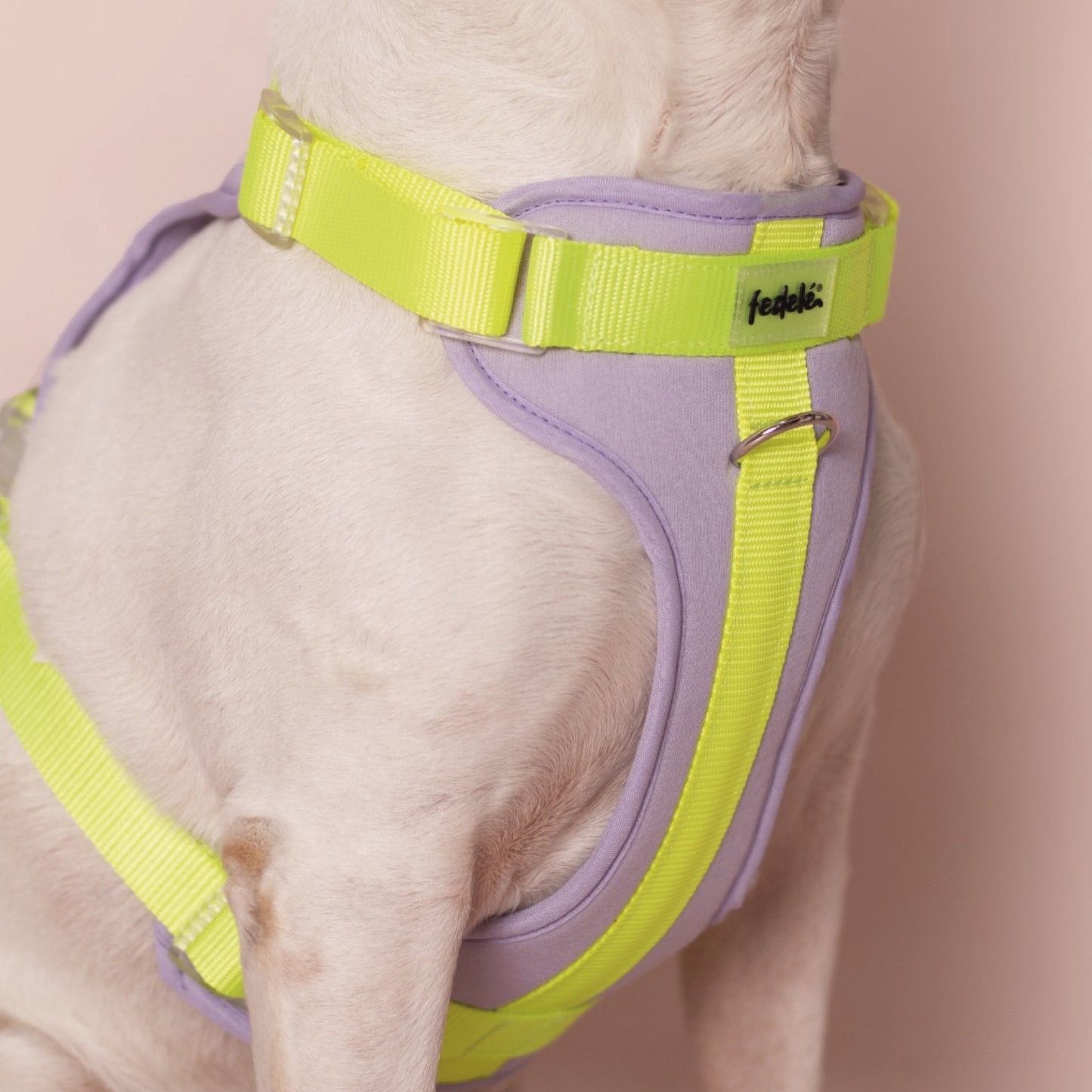 PECHERA LILA - NEON