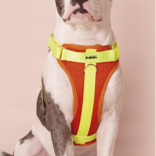 PECHERA NARANJA - NEON