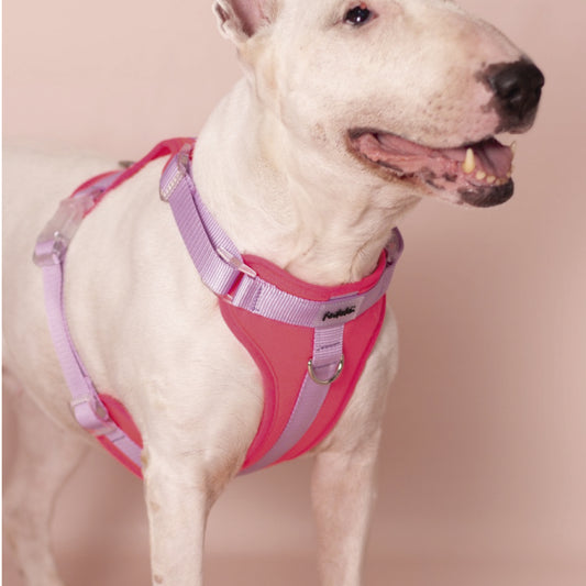 PECHERA FUCSIA - LILA