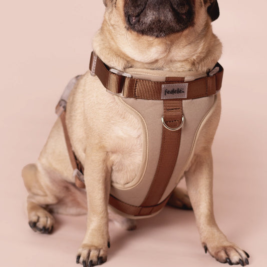 PECHERA BEIGE - CAFÉ