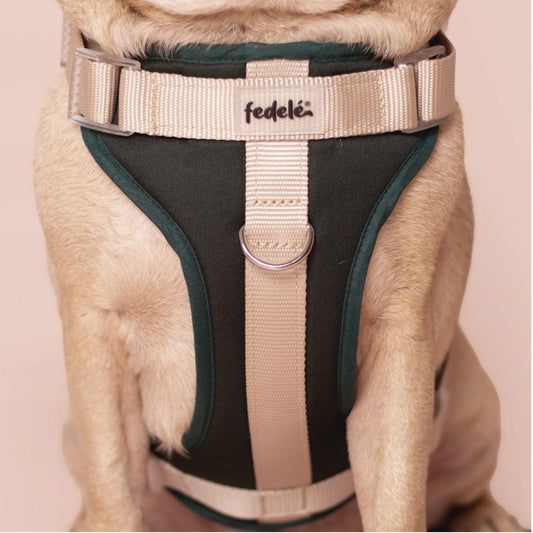 PECHERA MILITAR - BEIGE