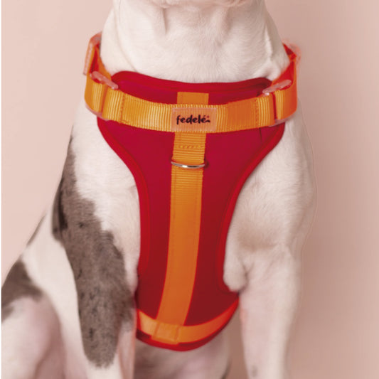 PECHERA ROJA - NARANJA