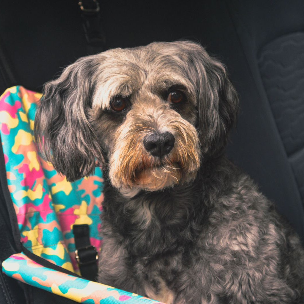 PROTECTOR DE SILLA MINI