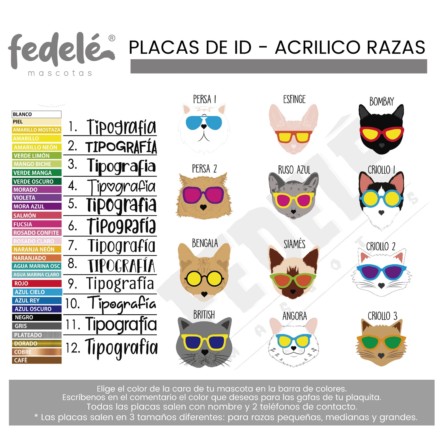 PLACAS GATOS CON GAFAS