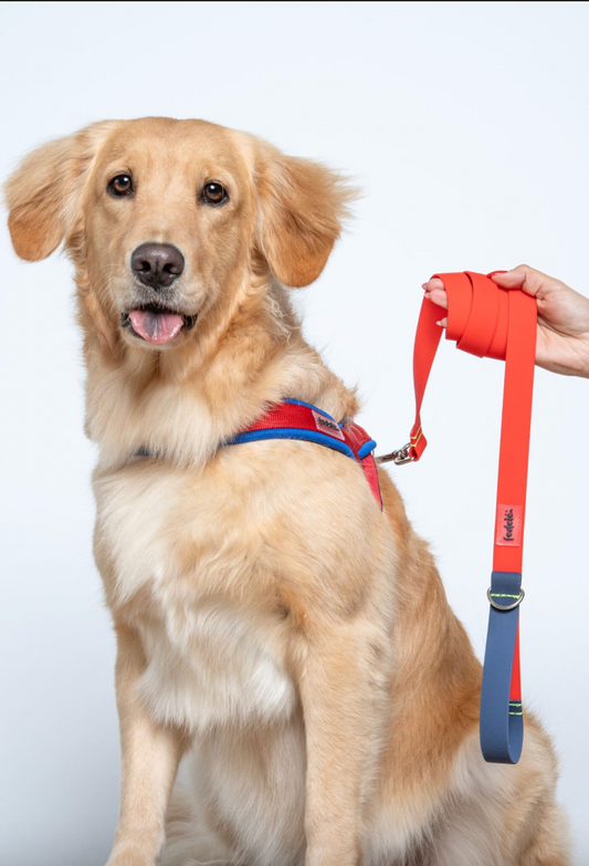 ARNES EN Y AZUL ROJO