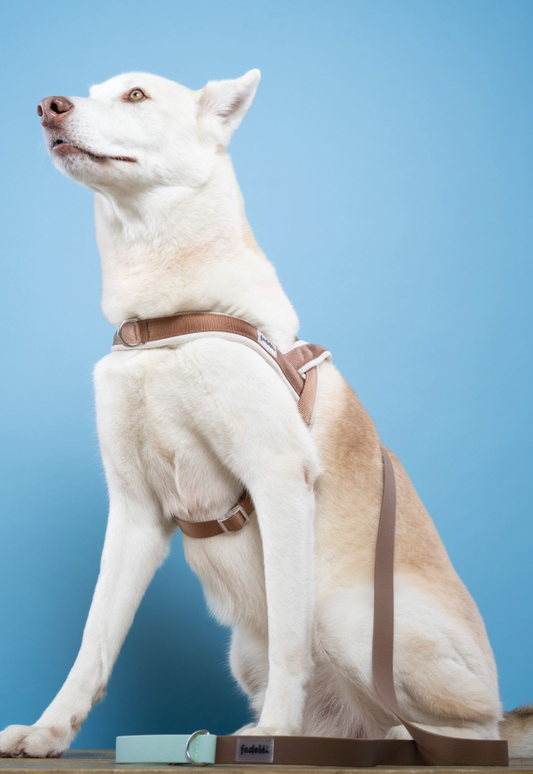 ARNES EN Y CAFE BEIGE