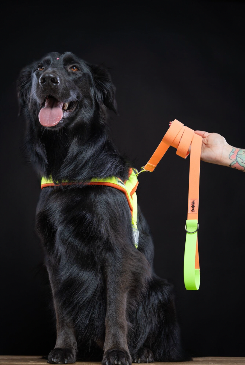 ARNES EN Y NARANJA NEON