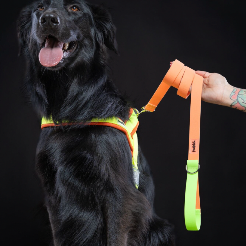 ARNES EN Y NARANJA NEON