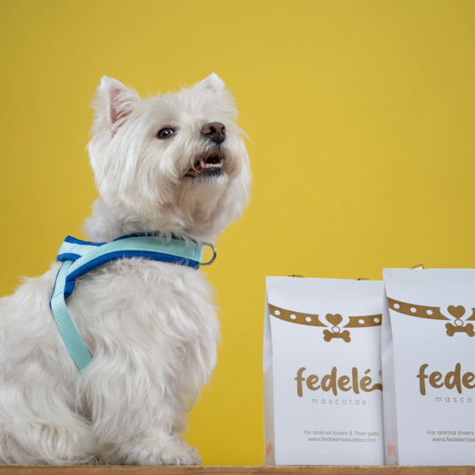 ARNES EN Y AZUL AGUA