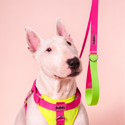 CORREA PAW PROOF FUCSIA VERDE LIMON
