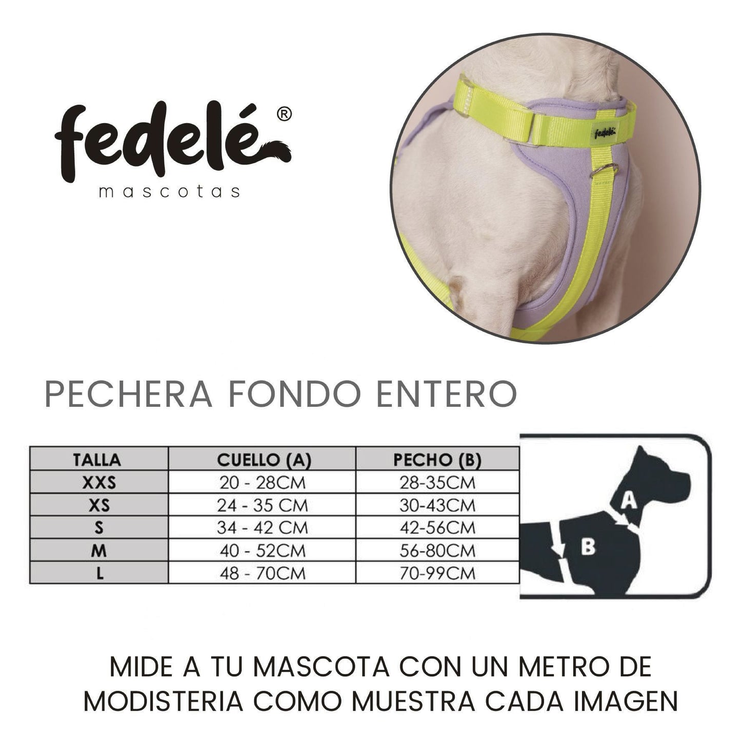 GUIA PECHERA FONDO ENTERO