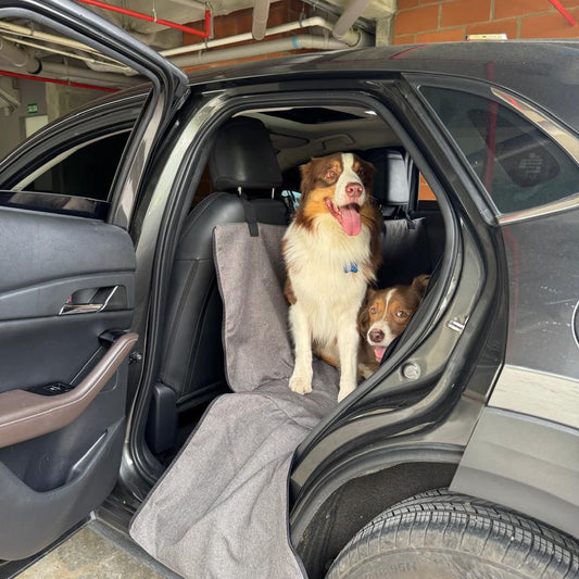 PROTECTOR DE SILLA GRANDE