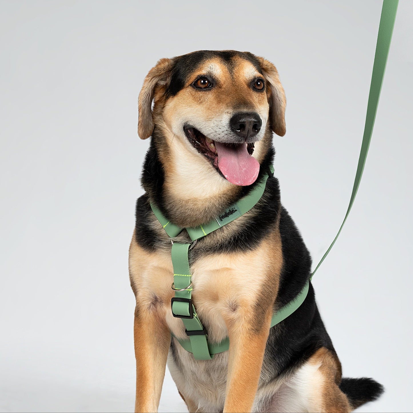 ARNES PAW PROOF MILITAR