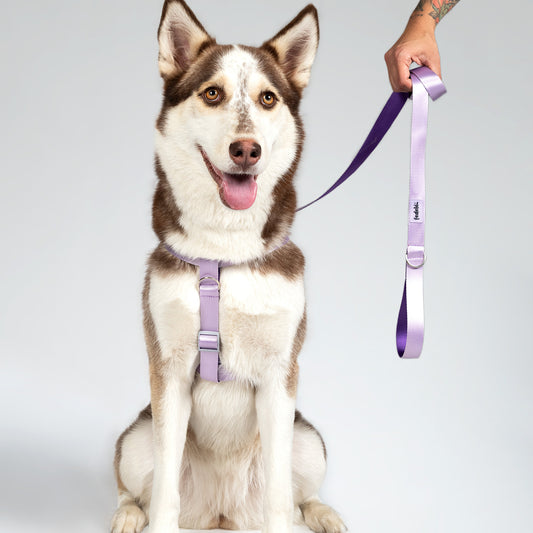 ARNES REATA BASIC LILA - MORA