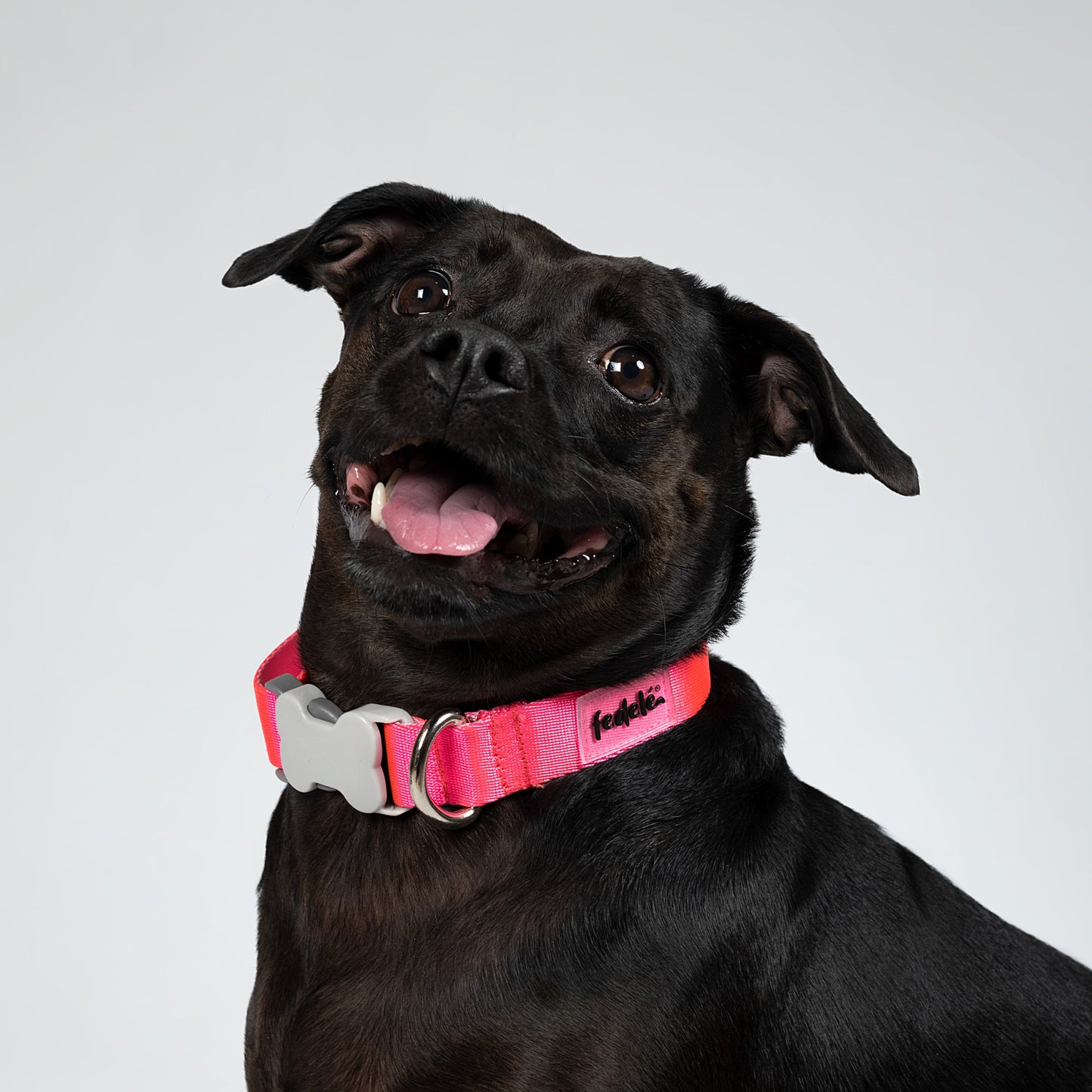 COLLAR BASIC FUCSIA-ROSA