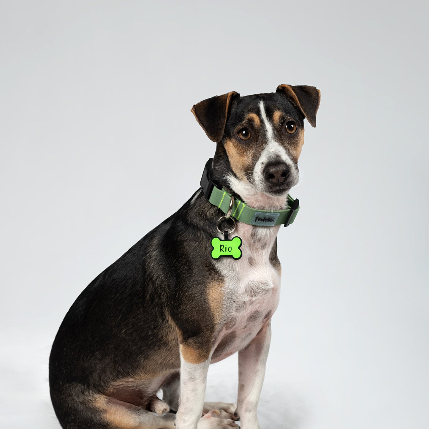 COMBO PAW PROOF MILITAR