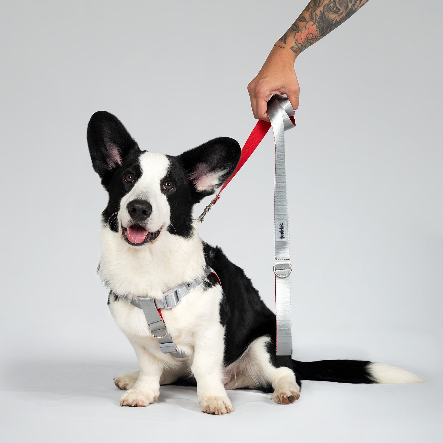 ARNES REATA BASIC GRIS - ROJO