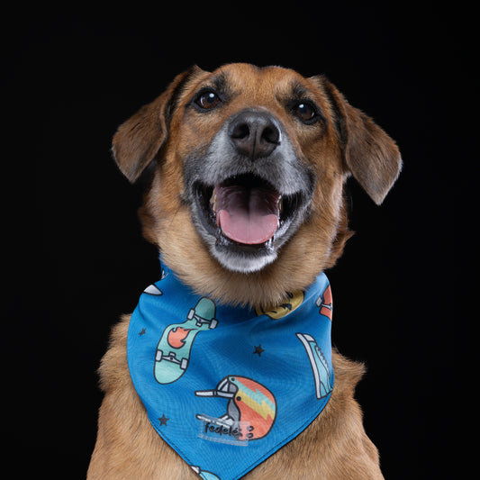 PAÑOLETA SKATE STREET