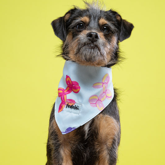 PAÑOLETA DOG BALLON