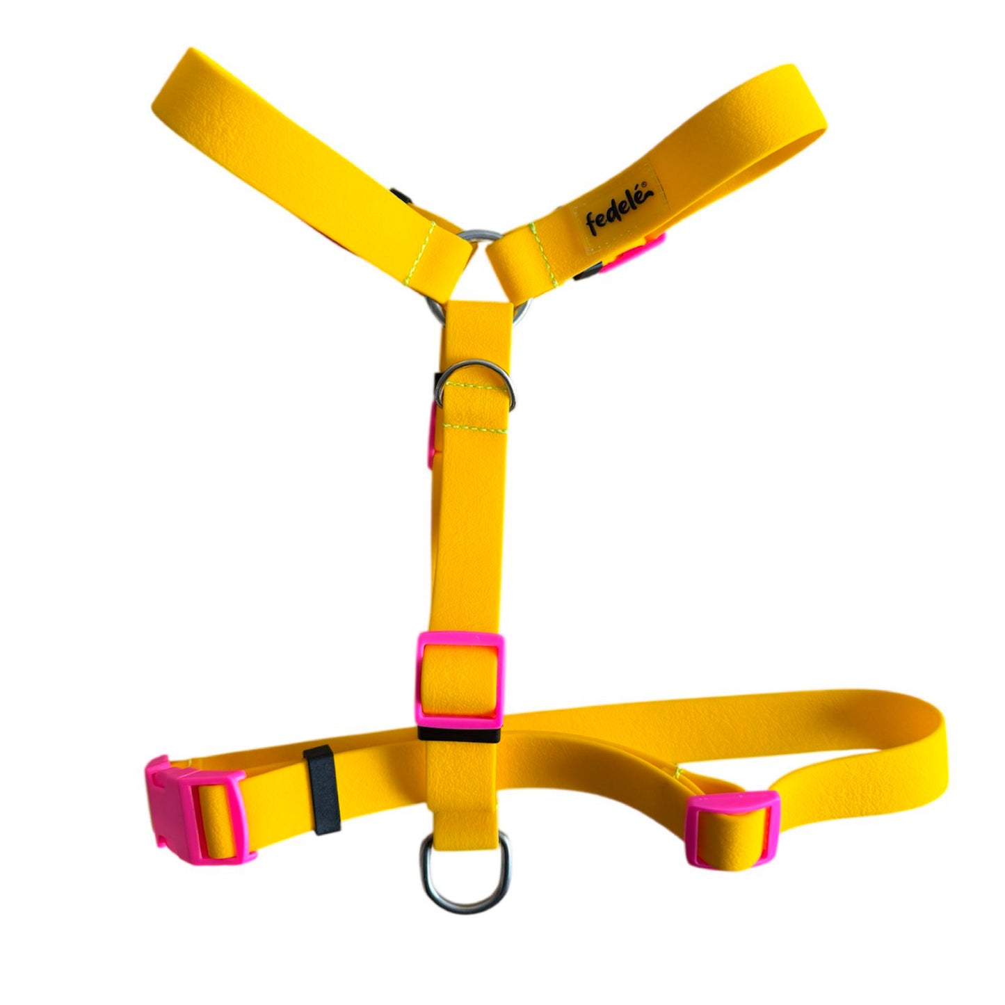 ARNES PAW PROOF AMARILLO