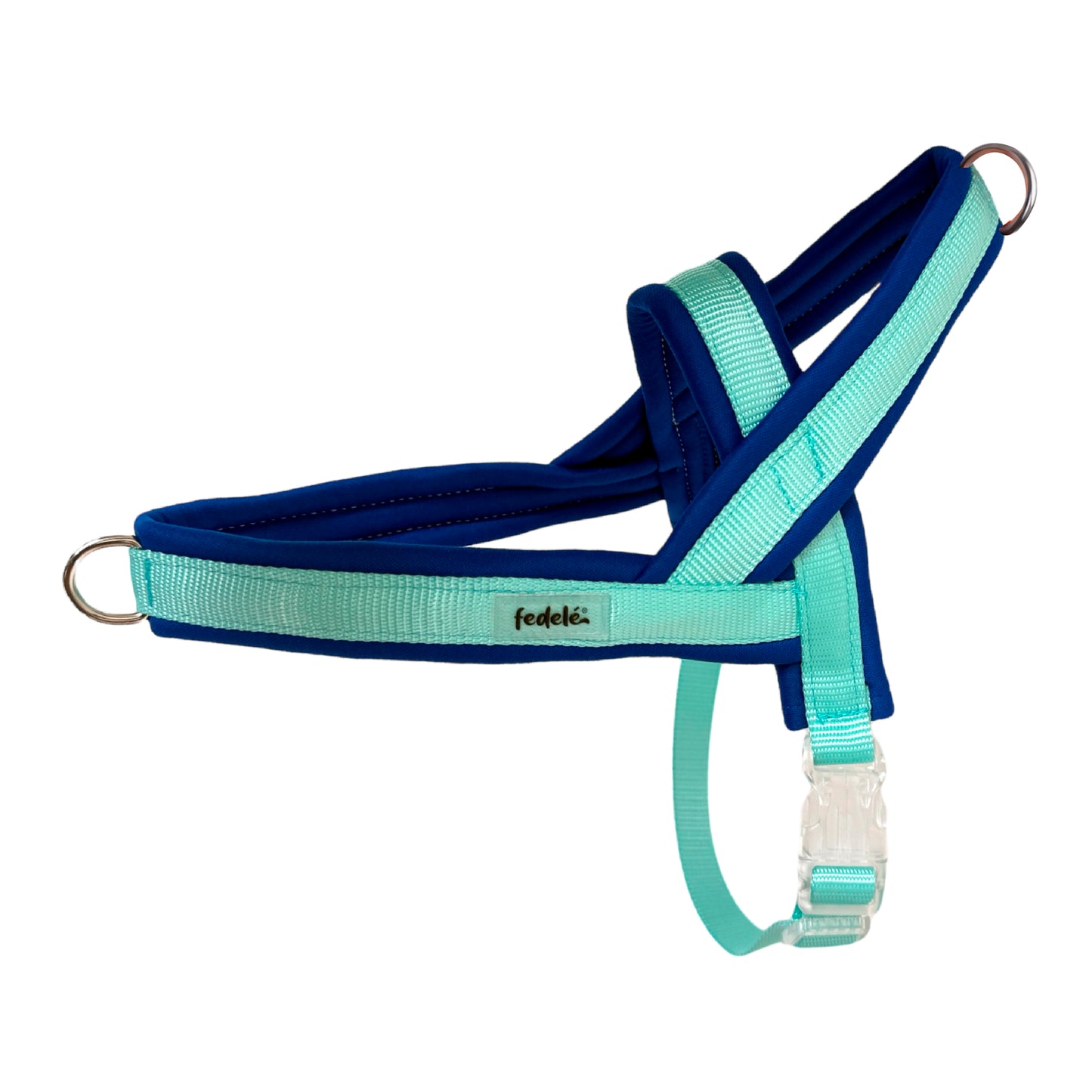 ARNES EN Y AZUL AGUA