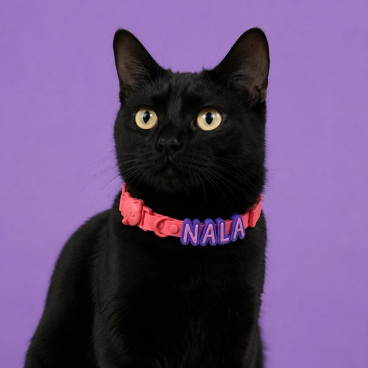 Collar en Goma Personalizado con Charms Deluxe Gato