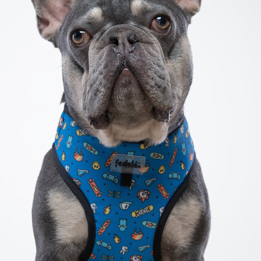 PECHERA SKATE STREET