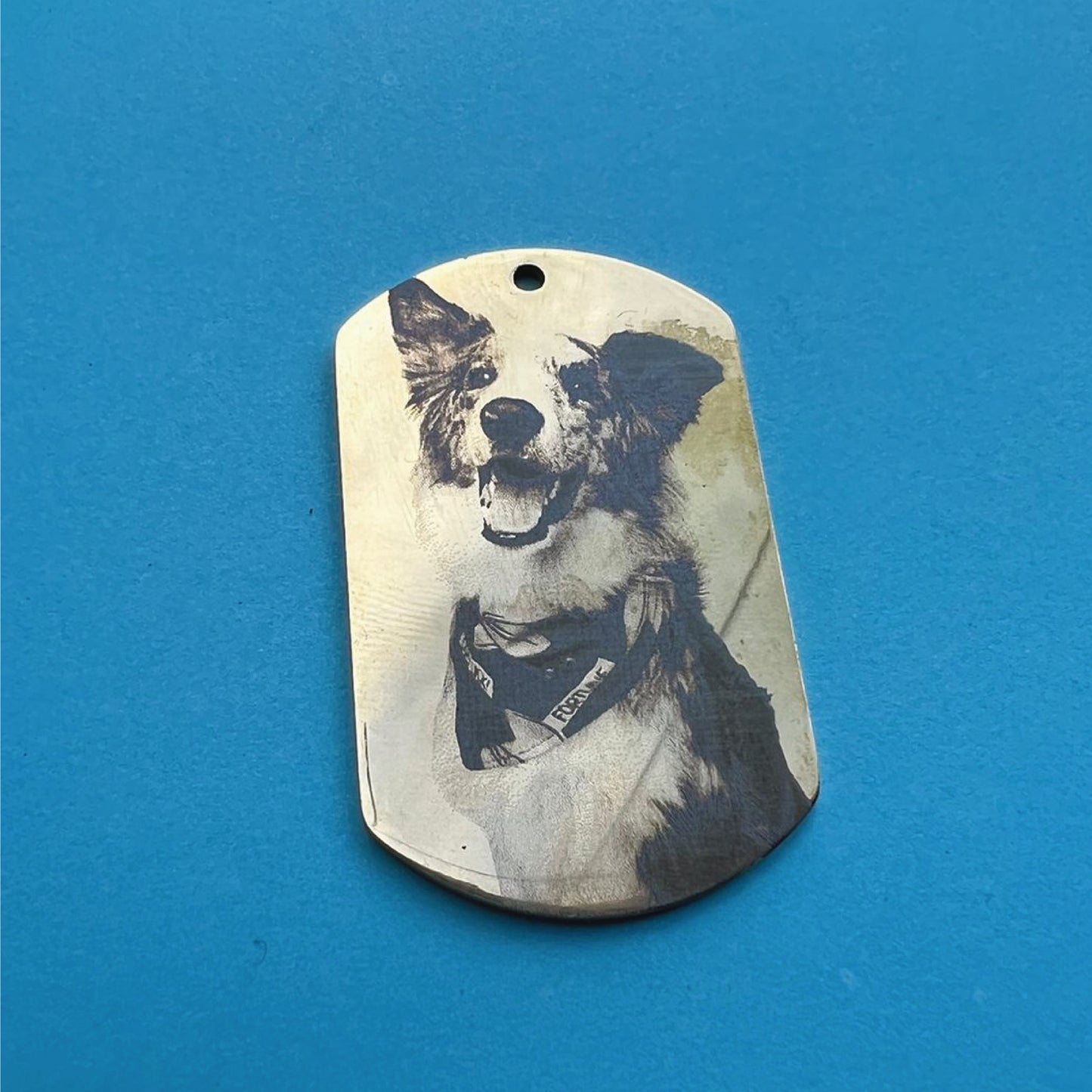 PLACA DE ACERO CON FOTO MASCOTA