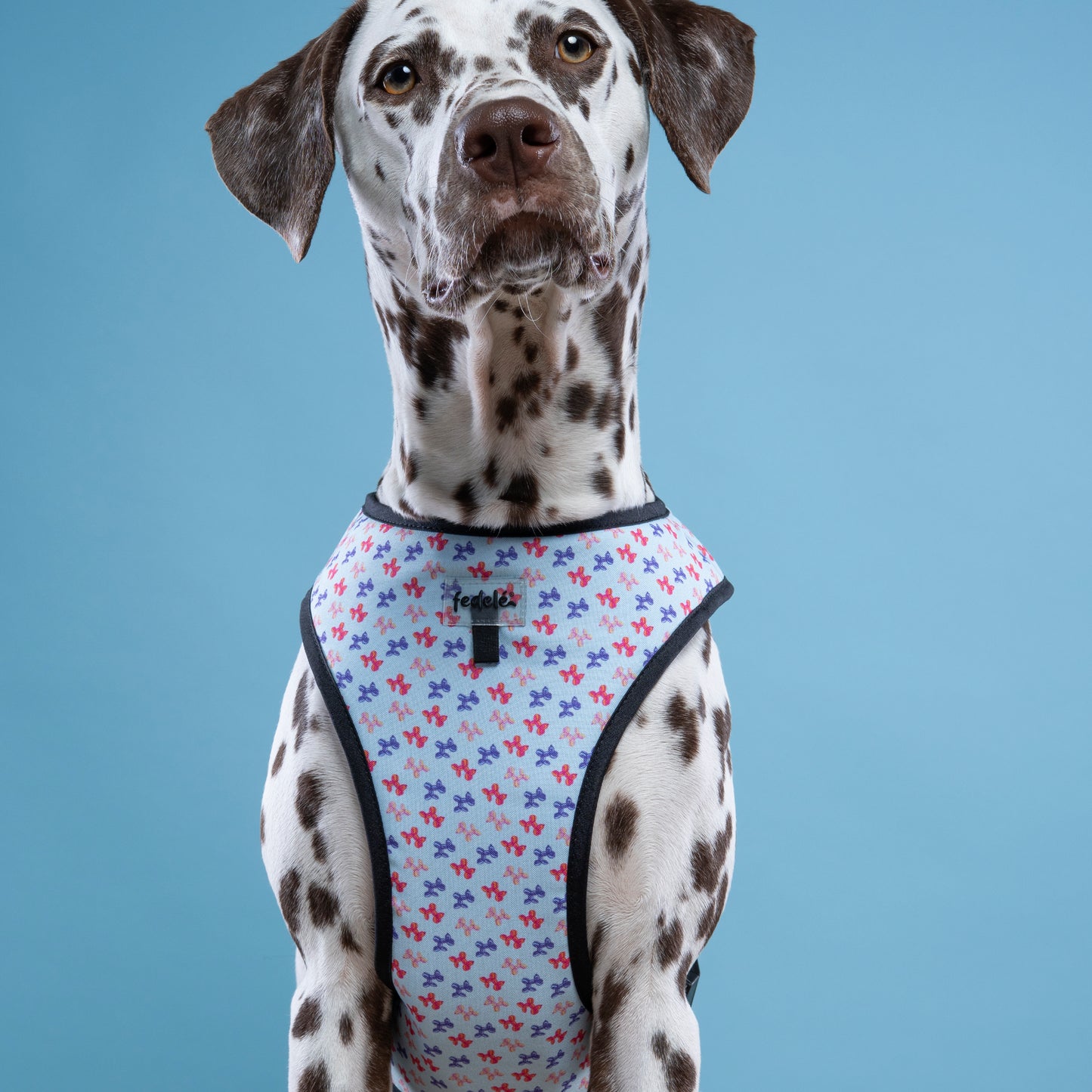 PECHERA DOG BALLON