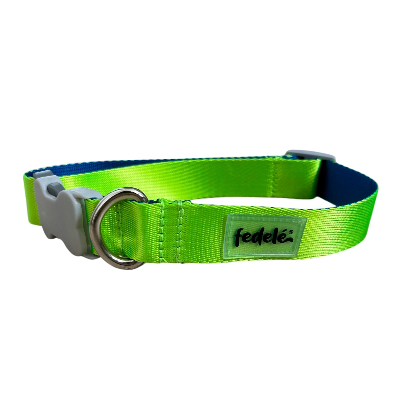 COLLAR REATA BASIC CLASSIC NEON - AZUL