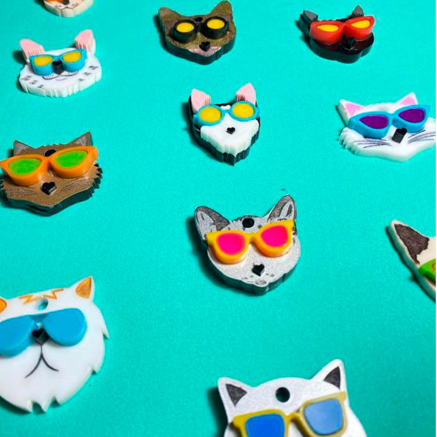 PLACAS GATOS CON GAFAS