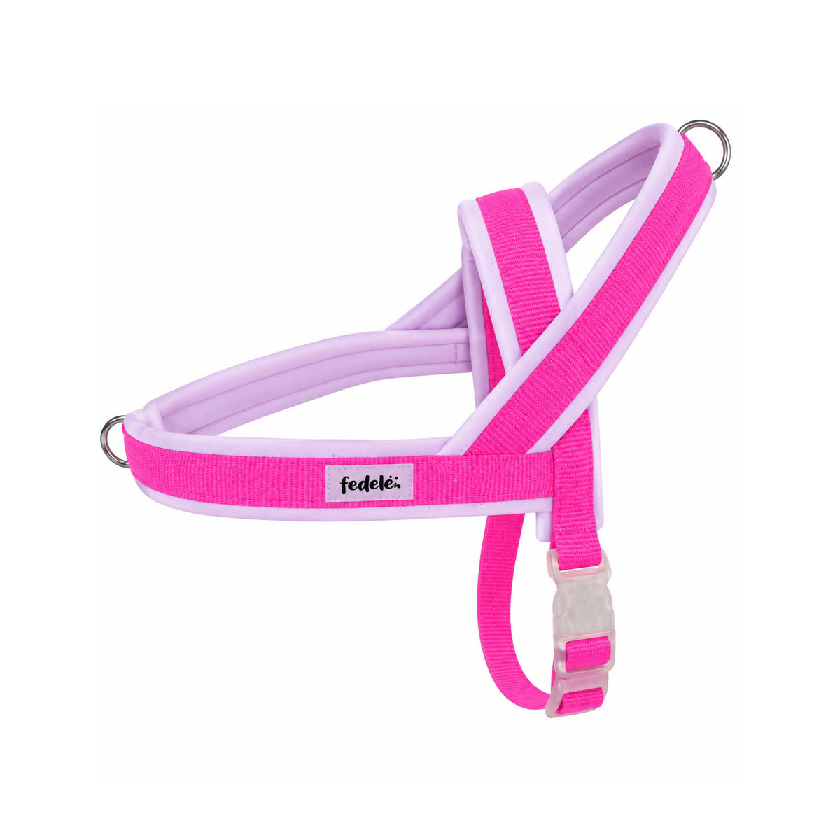 ARNES EN Y LILA FUCSIA