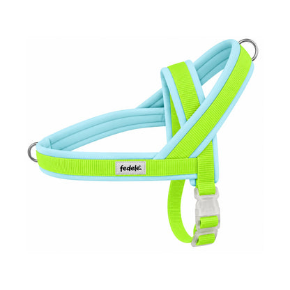 ARNES EN Y AGUA NEON