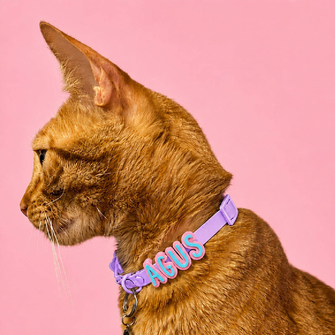 Collar en Goma Personalizado con Charms Deluxe Gato