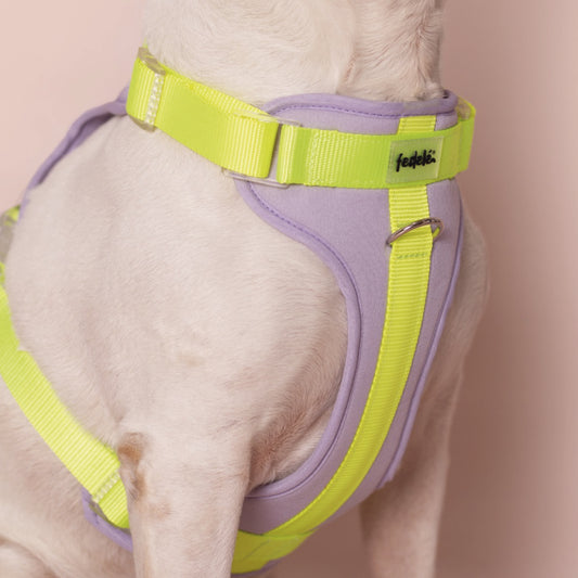 PECHERA LILA - NEON
