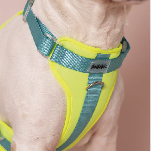 PECHERA NEON - AGUA