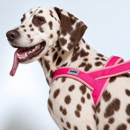 ARNES EN Y ROSA FUCSIA