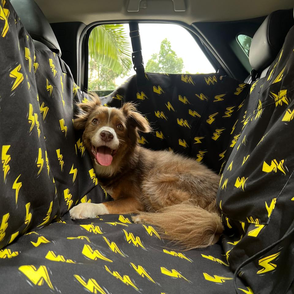 PROTECTOR DE SILLA GRANDE - Cuida tu tapicería y viaja tranquilo con tu peludo
