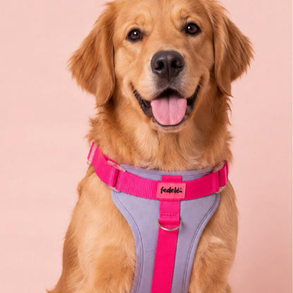 PECHERA LILA FUCSIA