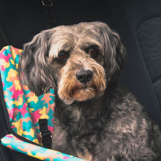 PROTECTOR DE SILLA MINI