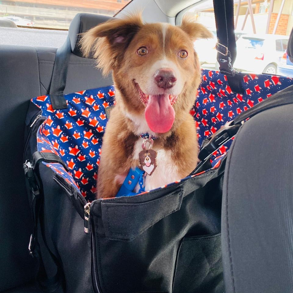 PROTECTOR DE SILLA PEQUEÑO