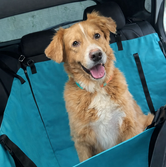 PROTECTOR DE SILLA MEDIANO