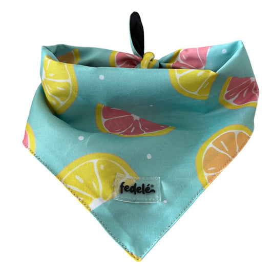 PAÑOLETA LEMON