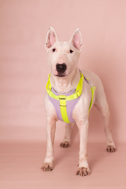 PECHERA LILA - NEON