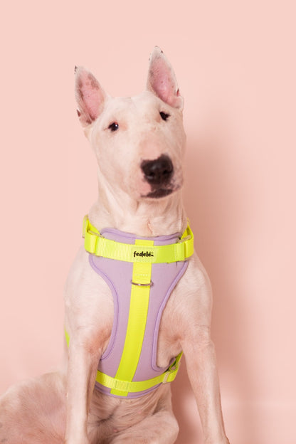PECHERA LILA - NEON