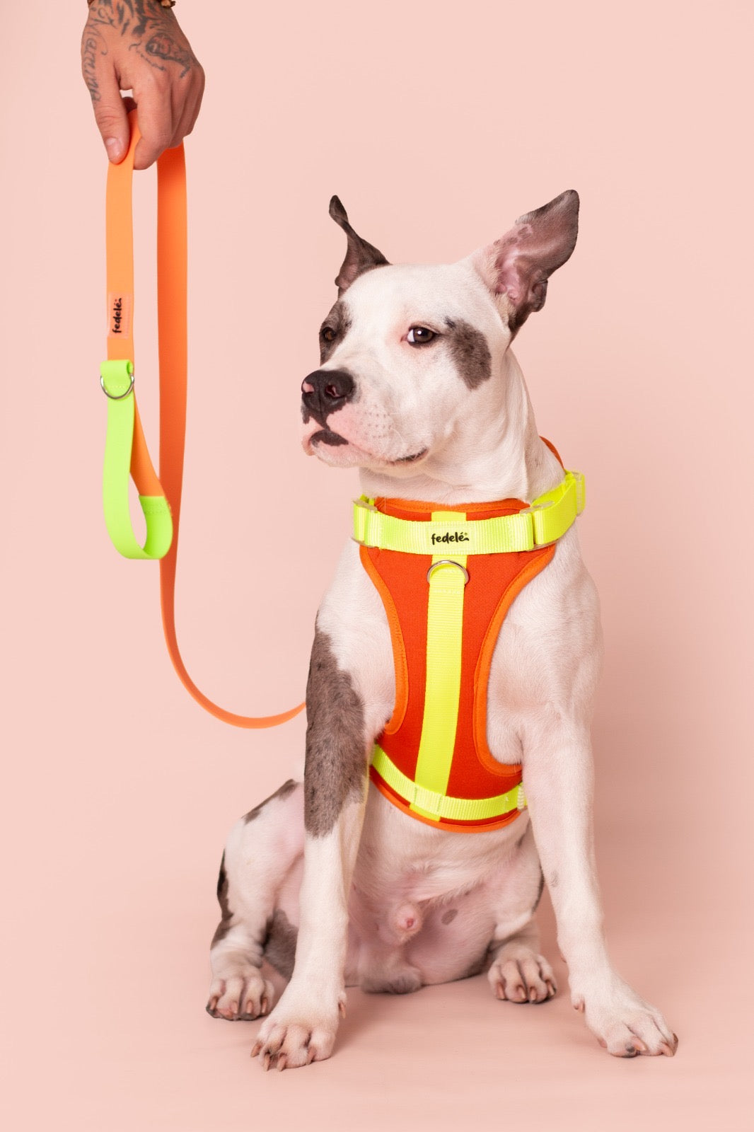 PECHERA NARANJA - NEON