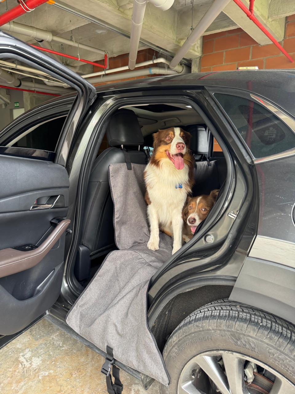 PROTECTOR DE SILLA GRANDE - Cuida tu tapicería y viaja tranquilo con tu peludo