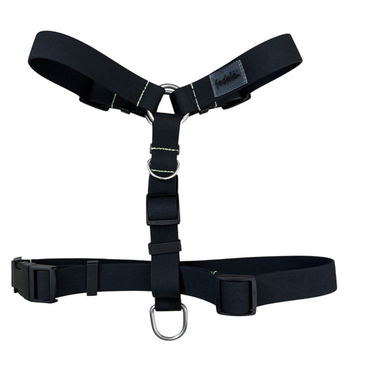 ARNES PAW PROOF NEGRO